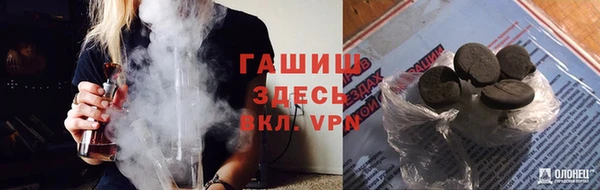 эйфоретик Елизово