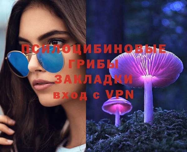эйфоретик Елизово